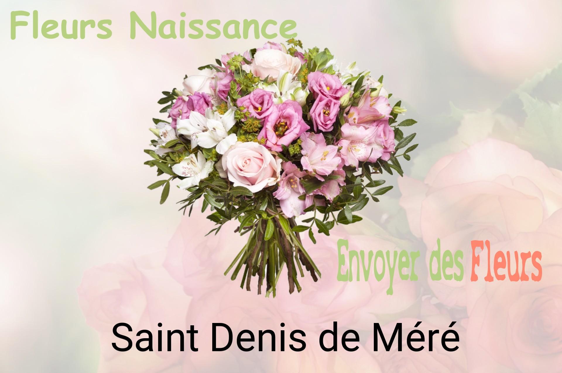 Bouquet de fleurs de naissance livré à Saint-Denis-de-Méré